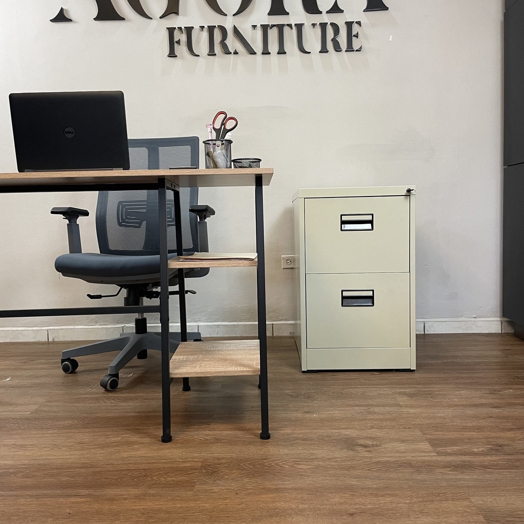 ARCHIVO METALICO DE 02-GAVETAS BEIGE (18*24.5*29)(2drawers)