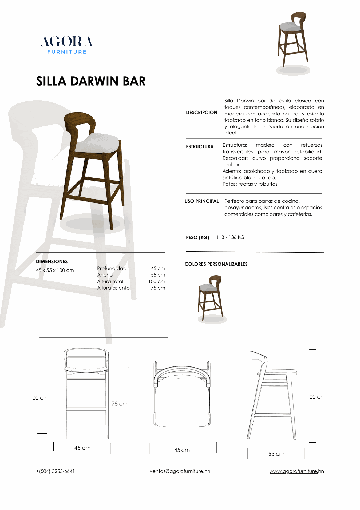 SILLA DARWIN BAR.png