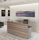 RECEPCION JAYSON ROBLE CON GRIS (140*60*100CM)
